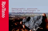 Demographic pressure: Skilling challenges in the mining sector Discussion paper: Prepared by Damien Woods L&PD.