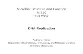 Microbial Structure and Function MI720 Fall 2007 DNA Replication Andrew J. Pierce Department of Microbiology, Immunology and Molecular Genetics University.