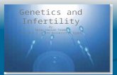 Genetics and Infertility By Salwa Hassan Teama M.D. N.C.I.Cairo University, Egypt.