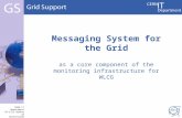 CERN IT Department CH-1211 Genève 23 Switzerland  t Messaging System for the Grid as a core component of the monitoring infrastructure for.