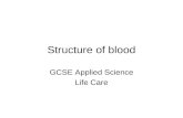 Structure of blood GCSE Applied Science Life Care.
