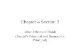 Chapter 4 Section 3 Other Effects of Fluids (Pascal’s Principal and Bernoulli's Principal)