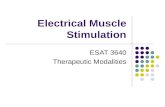 Electrical Muscle Stimulation ESAT 3640 Therapeutic Modalities.