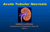 Acute Tubular Necrosis Resident’s conference Presented by Dr Gagandeep K Heer, MD (PGY-2)