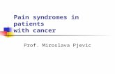Pain syndromes in patients with cancer Prof. Miroslava Pjevic.