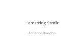 Hamstring Strain Adrienne Brandon. Causes Muscle overload – Challenged with a sudden load – Stretched beyond it’s limit Muscle gets stretched too far.