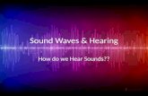 Sound Waves & Hearing How do we Hear Sounds??. Essential Standard 6.P.1Understand the properties of waves and the wavelike property of energy in earthquakes,