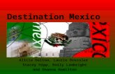 Destination Mexico Alicia Dalton, Laurie Dressler Stacey Hipp, Emily Lambright and Shanna Hamilton.