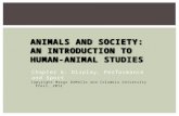 ANIMALS AND SOCIETY: AN INTRODUCTION TO HUMAN-ANIMAL STUDIES Chapter 6: Display, Performance and Sport Copyright Margo DeMello and Columbia University.