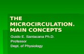THE MICROCIRCULATION. MAIN CONCEPTS Guido E. Santacana Ph.D. Professor Dept. of Physiology.