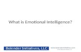 © 2011 Bolender Initiatives, LLC  What is Emotional Intelligence?