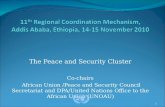 The Peace and Security Cluster Co-chairs African Union /Peace and Security Council Secretariat and DPA/United Nations Office to the African Union (UNOAU)