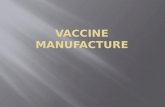 The vast majority of the over one billion doses of vaccines manufactured today are given to healthy individuals  The ability to manufacture these vaccines.