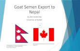 Goat Semen Export to Nepal By: Ben Anderchek University of Guelph  .