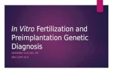 In Vitro Fertilization and Preimplantation Genetic Diagnosis ADRIANNA VLACHOS, MD DBA CAMP 2015.