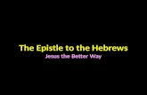 The Epistle to the Hebrews Jesus the Better Way. Hebrews in the New Testament Gospel (4) Matthew Mark Luke John History (1) Acts Epistle (21) Paul (13)