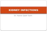 Dr. Hawre Qadir Salih KIDNEY INFECTIONS. Aetiology Haematogenous : from tonsils,skin (boils or a carbuncle) Ascending : (commonest )vesicoureteric reflux,