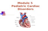 Module 5 Pediatric Cardiac Disorders. Fetal Circulation.