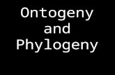 Ontogeny and Phylogeny. In biology, epigenesis has at least two distinct meanings:biology the unfolding development of an organism, and in particulardevelopment.
