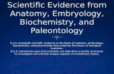 Scientific FieldsScientific Fields  Different fields of science have contributed evidence for the theory of evolution  Anatomy  Embryology  Biochemistry.