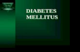 DIABETES MELLITUS. What is diabetes mellitus?  The majority of intake of food is converted into glucose.  The pancreas produces the insulin hormone,