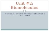 Unit #2: Biomolecules NOTES.4: INTRO TO BIOMOLECULES & LIPIDS.