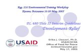 PL 480 Title II Interim Guidelines Development-Relief Erika J. Clesceri, Ph.D. USAID/DCHA Office of Food for Peace eclesceri@usaid.gov May 17, 2005 Reg.