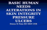 BASIC HUMAN NEEDS ALTERATIONS IN SKIN INTEGRITY PRESSURE ULCERS Donna M Penn RN MSN CNE.