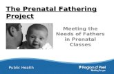 Public Health Meeting the Needs of Fathers in Prenatal Classes The Prenatal Fathering Project.
