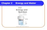 Chapter 2Energy and Matter 2.2 Energy and Nutrition Copyright © 2009 by Pearson Education, Inc.