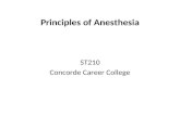 Principles of Anesthesia ST210 Concorde Career College.
