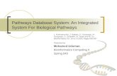 Pathways Database System: An Integrated System For Biological Pathways L. Krishnamurthy, J. Nadeau, G. Ozsoyoglu, M. Ozsoyoglu, G. Schaeffer, M. Tasan.