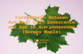 Correlation Between Autumnal Leaf Senescence and Age in Acer platanoides (Norway Maple) Yana Radenska EDTEP 586.