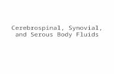 Cerebrospinal, Synovial, and Serous Body Fluids. Indication Appropriate laboratory examination of these fluids is critical for the diagnosis of numerous.