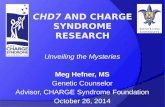 Unveiling the Mysteries Meg Hefner, MS Genetic Counselor Advisor, CHARGE Syndrome Foundation October 26, 2014.