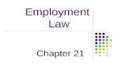 Employment Law Chapter 21. Employment Lawyers represent employees and employers in cases often involving disputes over wages, work safety, harassment.