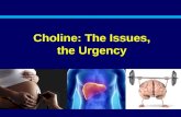 Choline: The Issues, the Urgency. Overall Summary: Choline, The Urgency Choline may well represent one of the largest untapped nutritional opportunities.
