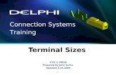 1 Terminal Sizes CTIS # 29956 Prepared By John Yurtin Updated 4-25-2005 Connection Systems Training.
