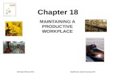 McGraw-Hill/Irwin 2010 Modified by Jackie Kroening 2011 MAINTAINING A PRODUCTIVE WORKPLACE Chapter 18.