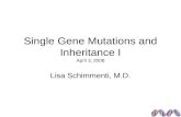 Single Gene Mutations and Inheritance I April 3, 2008 Lisa Schimmenti, M.D.