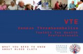 WHAT YOU NEED TO KNOW ABOUT BLOOD CLOTS VTE Venous Thromboembolism Toolkit for Health Professionals.