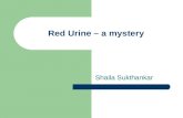Red Urine – a mystery Shaila Sukthankar. Haematuria Common presenting symptom of renal tract disorders Prevalence 0.5 - 6% on population screening in.