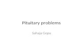 Pituitary problems Sahaja Gopu. Pituitary gland – endocrine gland which is pea sized and it sits in pituitary fossa, which is situated in the sphenoid.