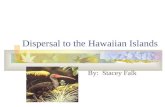 Dispersal to the Hawaiian Islands By: Stacey Falk.
