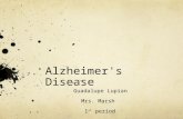 Alzheimer's Disease Guadalupe Lupian Mrs. Marsh 1 st period.