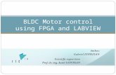 BLDC Motor control using FPGA and LABVIEW. Motivation Gabriel ZSURZSAN 2/12 Motors – a basic component of our lives FPGA – challenging but extremely flexible.