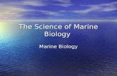 The Science of Marine Biology Marine Biology. Chapter 1 Outline Chapter 1 Outline The Science of Marine Biology The Science of Marine Biology –The History.