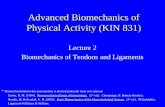 Advanced Biomechanics of Physical Activity (KIN 831) Lecture 2 Biomechanics of Tendons and Ligaments * Material included in this presentation is derived.