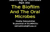 Searching for microbes Part XIV. The Biofilm And The Oral Microbes Ondřej Zahradníček To practical of ZLLM0421c zahradnicek@fnusa.cz.
