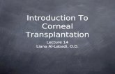 Introduction To Corneal Transplantation Lecture 14 Liana Al-Labadi, O.D.